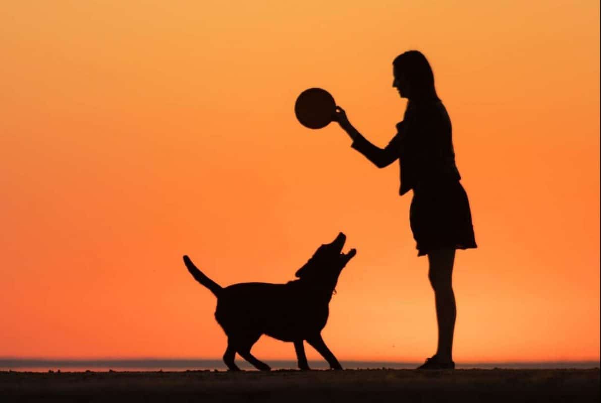 frisbee-ultimate-jouer-au-frisbee-avec-son-chien-Silhouette of a woman and a dog against the background of the sunset and the sea