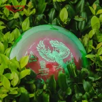 Frisbee Yikun Disc-Golf Fairway Driver JINWU Glaze Line - Vert caché au milieu des plantes