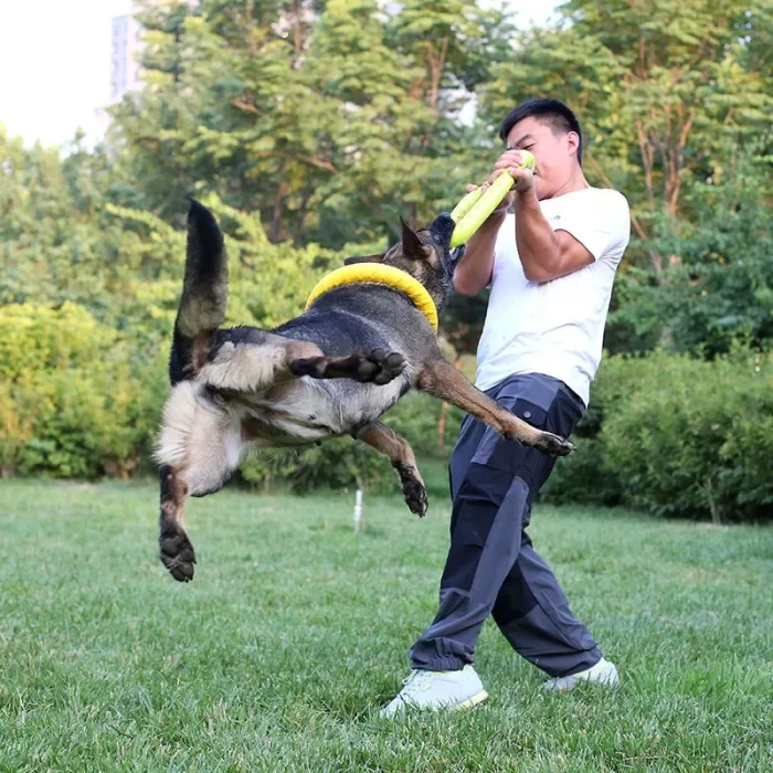 Anneau frisbee à mordiller pour chiens - Chien qui joue avec son maitre