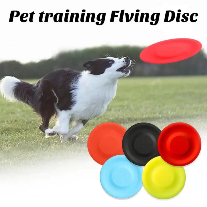 Mini frisbee pour chiens - Couleurs avec chien