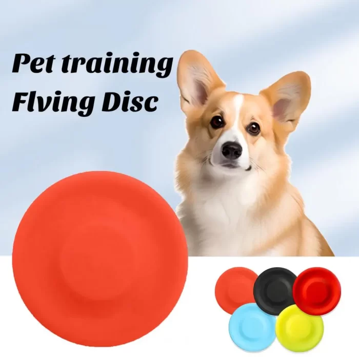 Mini frisbee pour chiens - Couleurs avec chien